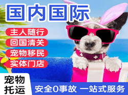 阆中古城航空空运国际宠物托运 【国